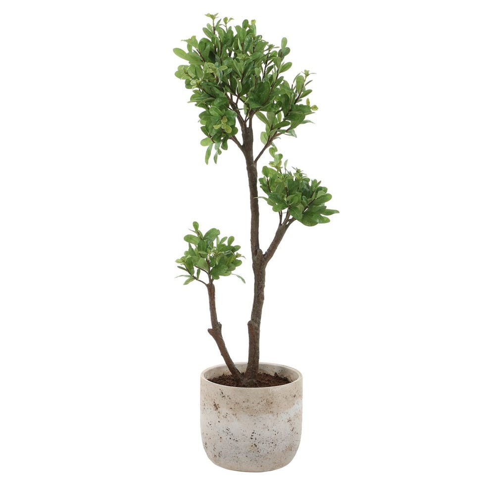 Uttermost Arbor Strawberry Tree