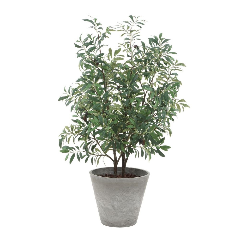 Uttermost Marisol Potted Olive Plant