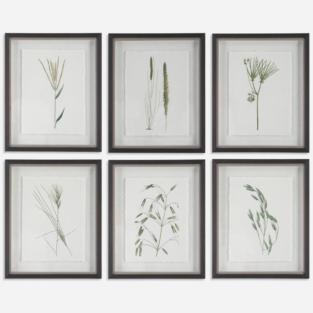 Uttermost Forest Finds Framed Prints Set/6