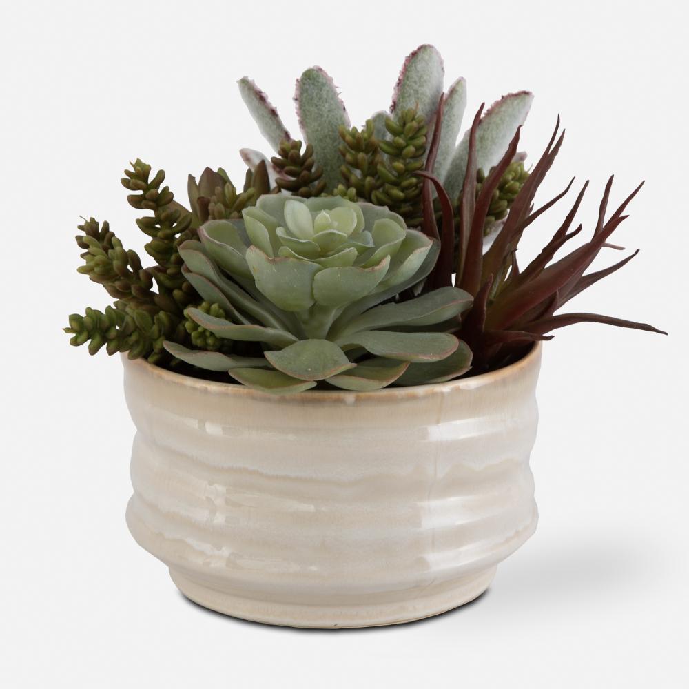 Uttermost Mesa Succulent Accent