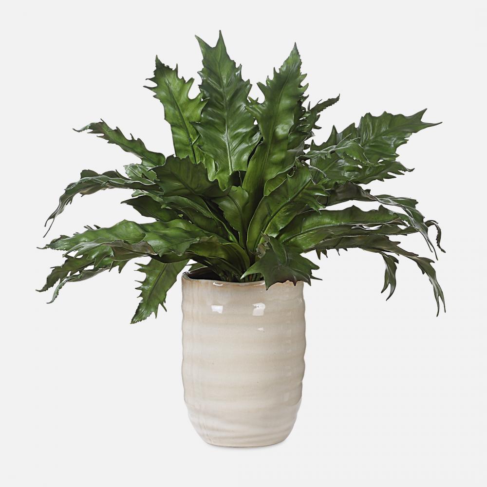 Uttermost Verdure Fern In Glazed Pot