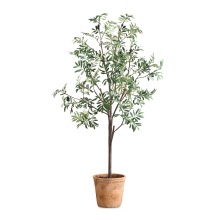 Uttermost 60241 - Uttermost Olea Potted Olive Tree