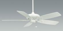 Ceiling Fans